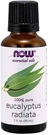 now-foods-eucalyptus-radiata-oil-1-oz-30ml - Supplements-Natural & Organic Vitamins-Essentials4me