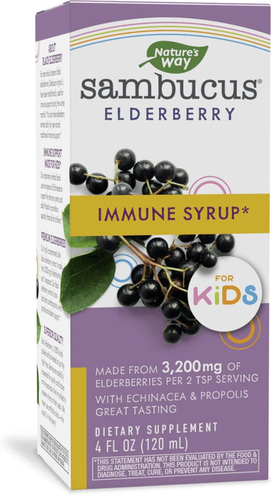 Nature's Way Sambucus Elderberry Immune Syrup for Kids*, Black Elderberry Extract, Echinacea, Propolis, 4 Oz.