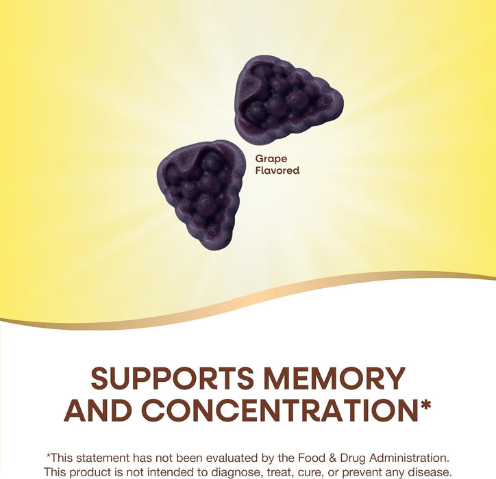 Nature's Way Brain Fuel, Supports Memory and Concentration*, Clinically Studied Cognigrape??, 60 Gummies, Grape Flavored (Exp Date 03/2025)