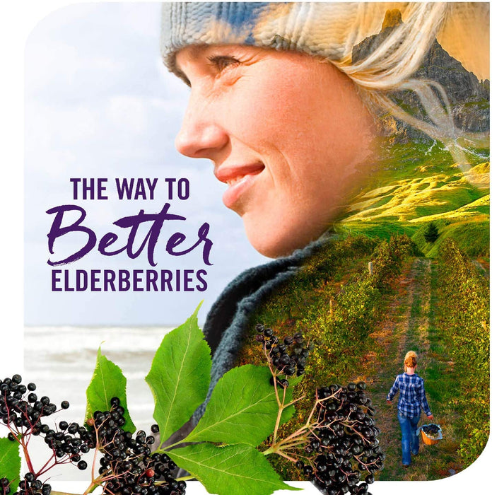 Nature's Way Sambucus Immune* Elderberry Syrup with Echinacea, Zinc & Vitamin C, 4 Oz