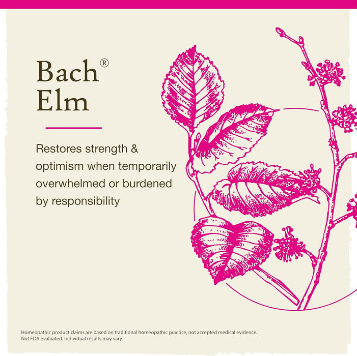 Roll over image to zoom in Bach Original Flower Remedies, Elm for Efficiency & Self-assurance, Natural Homeopathic Flower Essence, Holistic Wellness, Vegan, 20mL Dropper