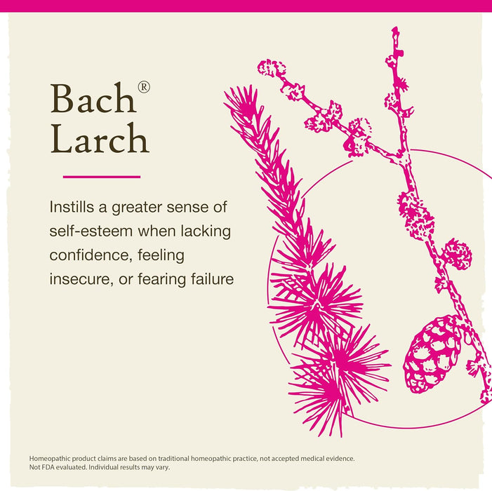 Bach Original Flower Remedies, Larch for Confidence, Natural Homeopathic Flower Essence, Holistic Wellness and Stress Relief, Vegan, 20mL Dropper