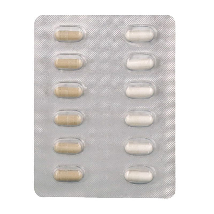 life-extension-memory-protect-36-capsules - Supplements-Natural & Organic Vitamins-Essentials4me