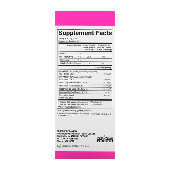 natural-factors-patented-echinamide-active-support-honey-lemon-syrup-5-fl-oz-150-ml - Supplements-Natural & Organic Vitamins-Essentials4me