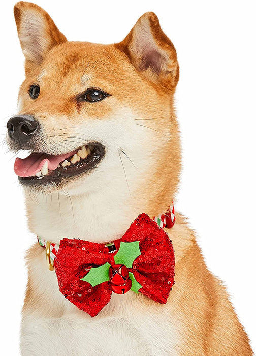 Blueberry Pet Christmas Endless Diamonds Adjustable Dog Collar with Stunning Bowtie Dcor, Small, Neck 12"-16"