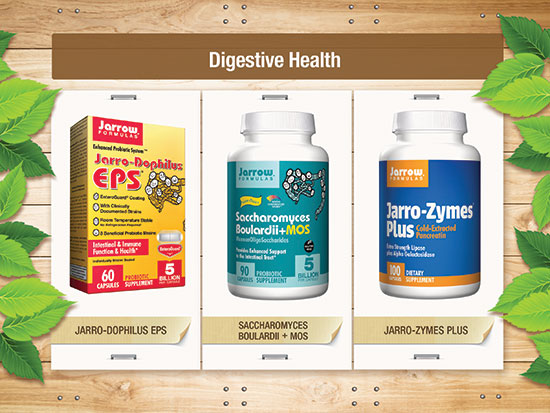 nutricelebrity-digestive-health-bundle - Supplements-Natural & Organic Vitamins-Essentials4me