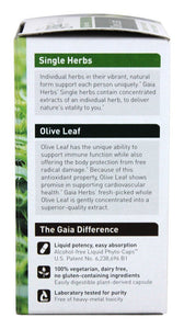 gaia-herbs-olive-leaf-liquid-phyto-capsules-60-vegetarian-capsules - Supplements-Natural & Organic Vitamins-Essentials4me