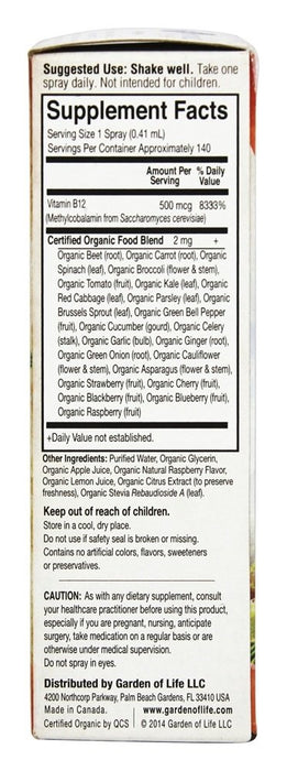 garden-of-life-mykind-organics-b-12-organic-spray-raspberry-2-oz-58-ml - Supplements-Natural & Organic Vitamins-Essentials4me